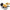 Friteuse 3L. Royalty Line EFT-2000L